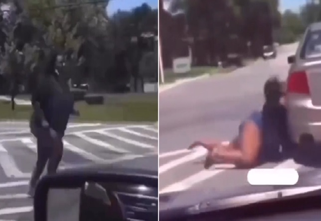 Funniest Shit You'll See All Day.