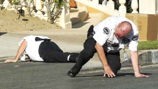 DAMN: Another Angle of Officer Attacked by a Swarm of Bees!