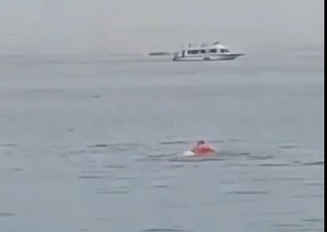 Tourist Eaten Alive by Shark in Egypt 