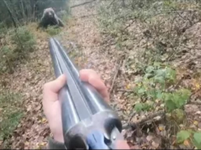 Bear Charged Russian Man.