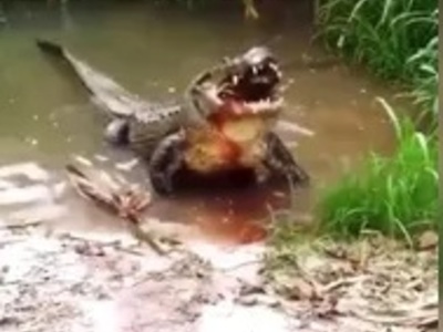 Make sure your Sound is to to hear the CRUNCH