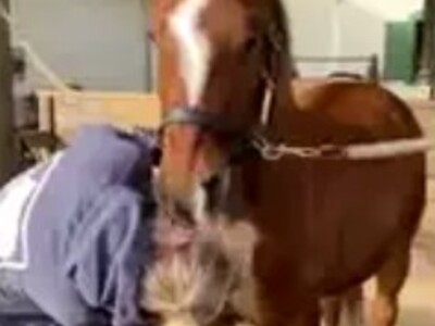 The World is a Sick Place.