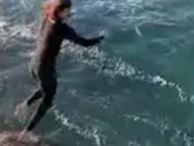 What NOT to Do in High Tide Shark Waters (Cape Town)