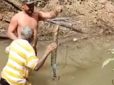 Imbecil Finds out that's an Electric Eel... The Hard Way.