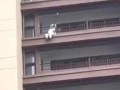 Lunch Date Ruined as Suicide Jumper Lands on Table