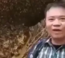 Death by Bee Stings... DAMN!