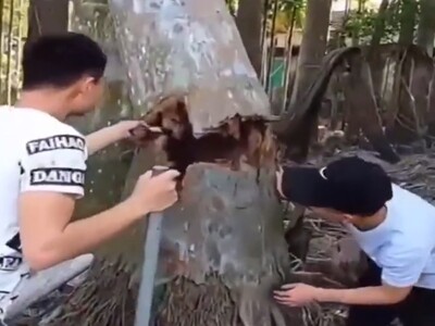 YO! WTH.... Wait for It!