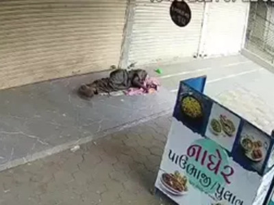 Poor Homeless Man Woke Up in a Terrible Way