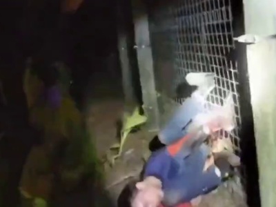 Dumb Lady forces Police to Shoot Tiger bc of Her Stupidity