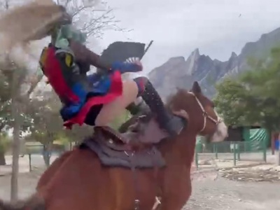 We Finally Know How Horses Fell about Trans Women