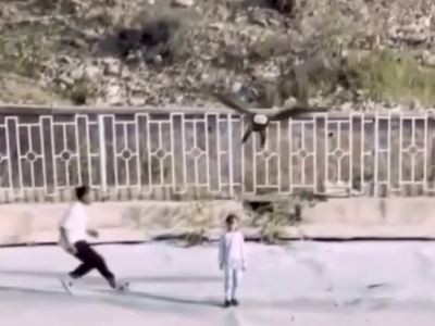 Hero Dad saves Daughter from Giant Bald Eagle at the Last Second