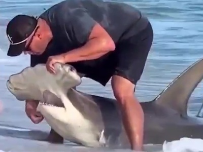 You Will NOT  See this Everyday