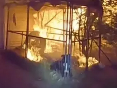 Epic Video of Police saving Kennel of Dogs