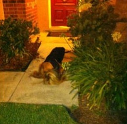 Girl Left Drunk on her Porch is Robbed ... Then They Snap Pictures 