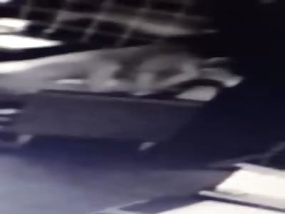 Waiter Walks in on Couple having Sex at Their Table