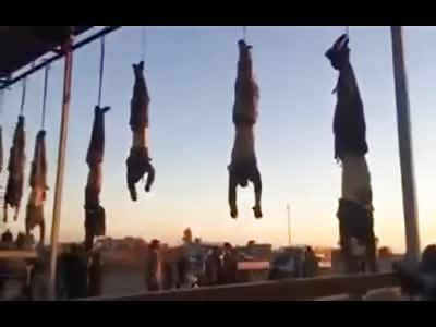 8 Bodies Set at Entrance of City To Greet Newcomers 