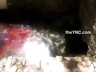 Almost Unreal Scene of Animals being Butchered in Channel of Water