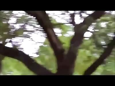 Walter Scott Shooting VIDEO: Police Officer Shoots Black Man Multiple Times in Back