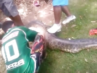 Looks Like this Pitbull Met its Match and LOST 