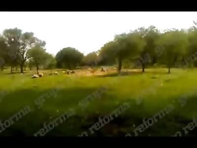 Short Video shows Rivals using Dynamite to Blow Up Rivals 