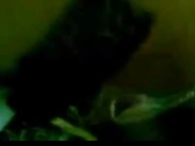 Legal Brother Sister Marriage in Syria is Pretty Fucking Sickening