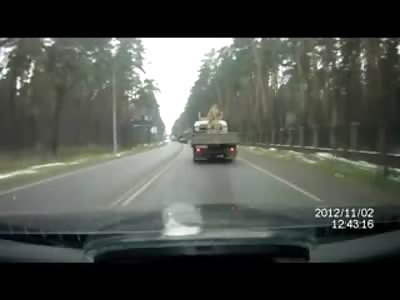 Idiot Dives underneath Car in some kind of Suicide Attempt