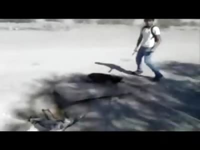 Shock Video shows Asshole Student Chop a Dog with a Machete (High Warning, Graphic Video)