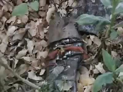 Exclusive Footage of the Wreckage that Claimed the Life of Superstar Singer Jenni Rivera