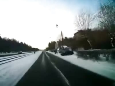 Little Dog has Super Powers ... Creamed by Car, Walks off Like a Boss