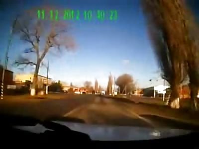 Russian Crash Video: The driver spilled some...cows? What.