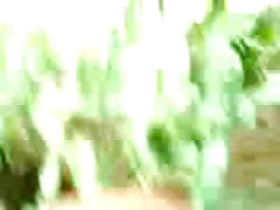 River of Blood leads Inside of Apartment to Murdered Female in Flip Flops 