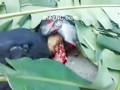 Man can Almost Eat his Own Brains.....