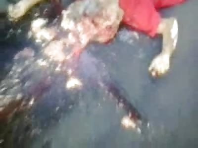 A Must See: Gathering Crowd Shock and Awe at Man Completely Flattened