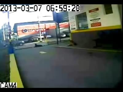 Dog Narrowly Escapes Death...Hit by a Car but is Able to Walk it Off