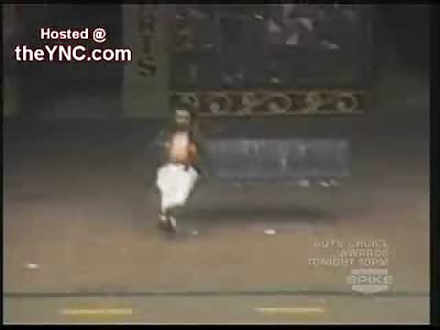 Lunatic With Guns Attacked By Police Dogs