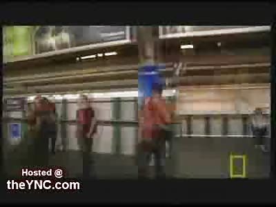 Government in Thailand Killing Meth Dealers