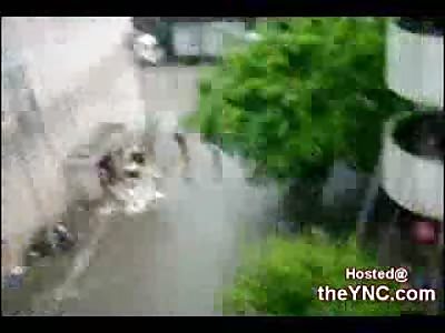 Shocking Video shows a Dog being beaten and thrown into a Garbage Pail