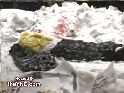 Bizarre Aftermath of a Woman Crushed to Death by a Snow Grader