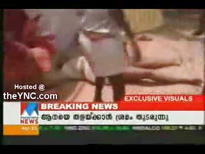 Elephant Goes on Rampage and Kills Three During Festival