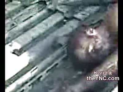 Soldiers left Burned and Limbless on the Battlefield