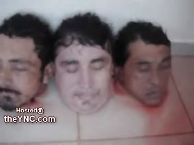 11 Beheaded Bodies found in Mexico sit in a Pool of Blood
