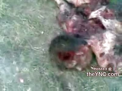 Horiffic Aftermath of Teen's Suicide Bombing at Russian Camp in Chechnya