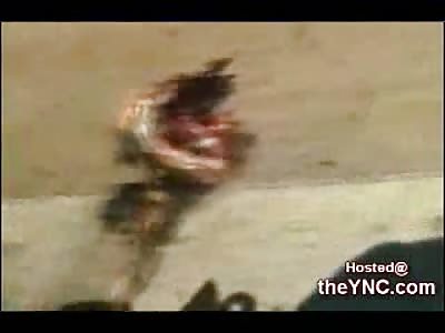 Slayed Terrorist Laying like a Dead Animal on the Side of the Road