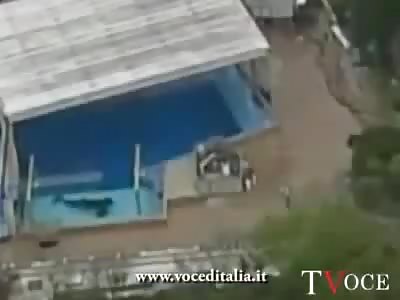 NEW VIDEO: Amateur Video Capture Death of Trainer Dawn Brancheau Killed at Sea World by Killer Whale