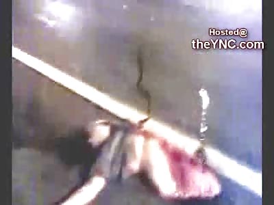 Chubby Female Ripped in Half