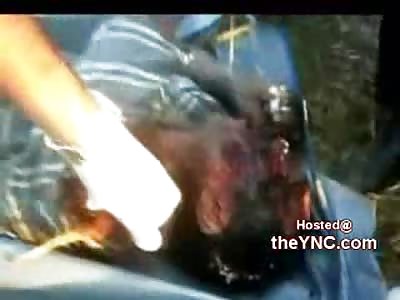 Dead Guy Found in Woods with His Face Mangled