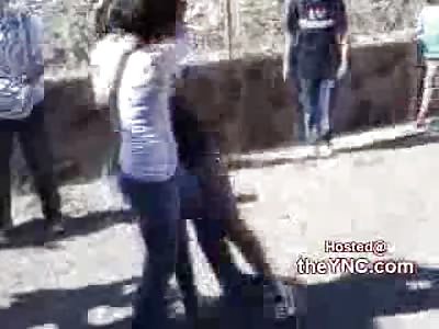 Great Kick to the Face Puts an End to Cute Chick Fight