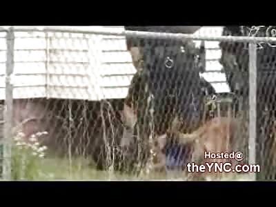 White Police Officers Use Excessive Force on Belligerent Black Kid