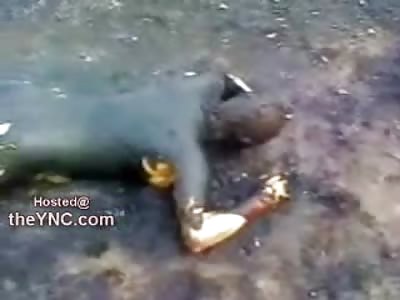 Female Body Burned beyond Identity and All Passengers in Small Plane Crash (Brazil)