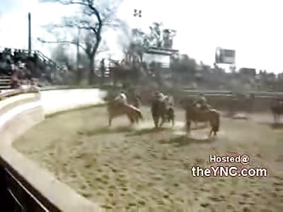 LOLOL: Animal Rights Activist Gets Totally Owned 